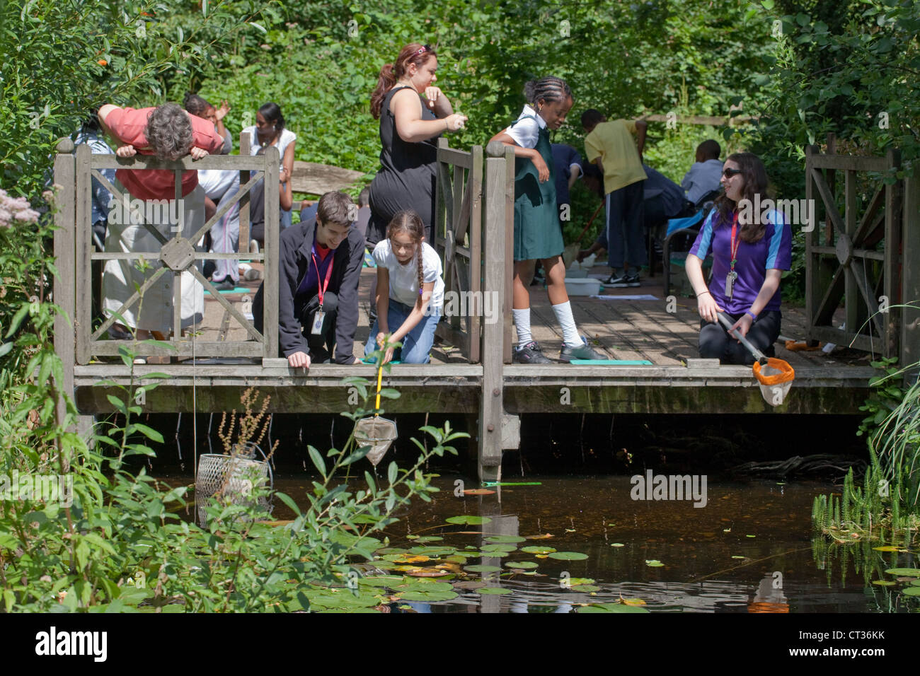 Exploring the natural world. Supervised pond dipping for young students. In the wild garden, Natural History Museum, London. Stock Photo