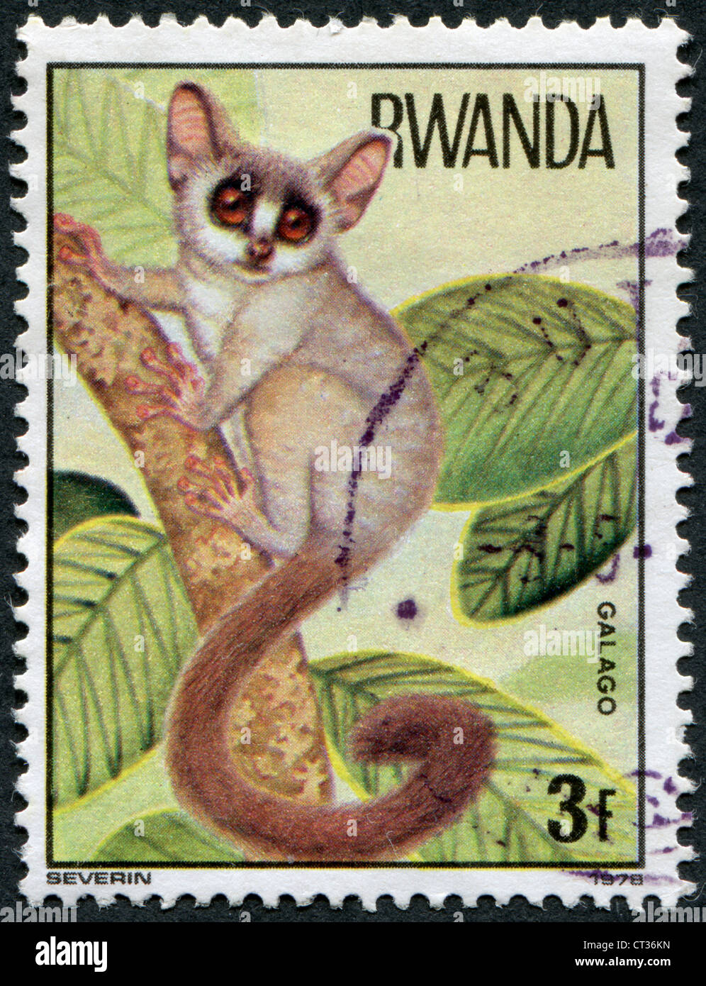 RWANDA - CIRCA 1978: A stamp printed in the Rwanda, depicts a monkey Galago, circa 1978 Stock Photo