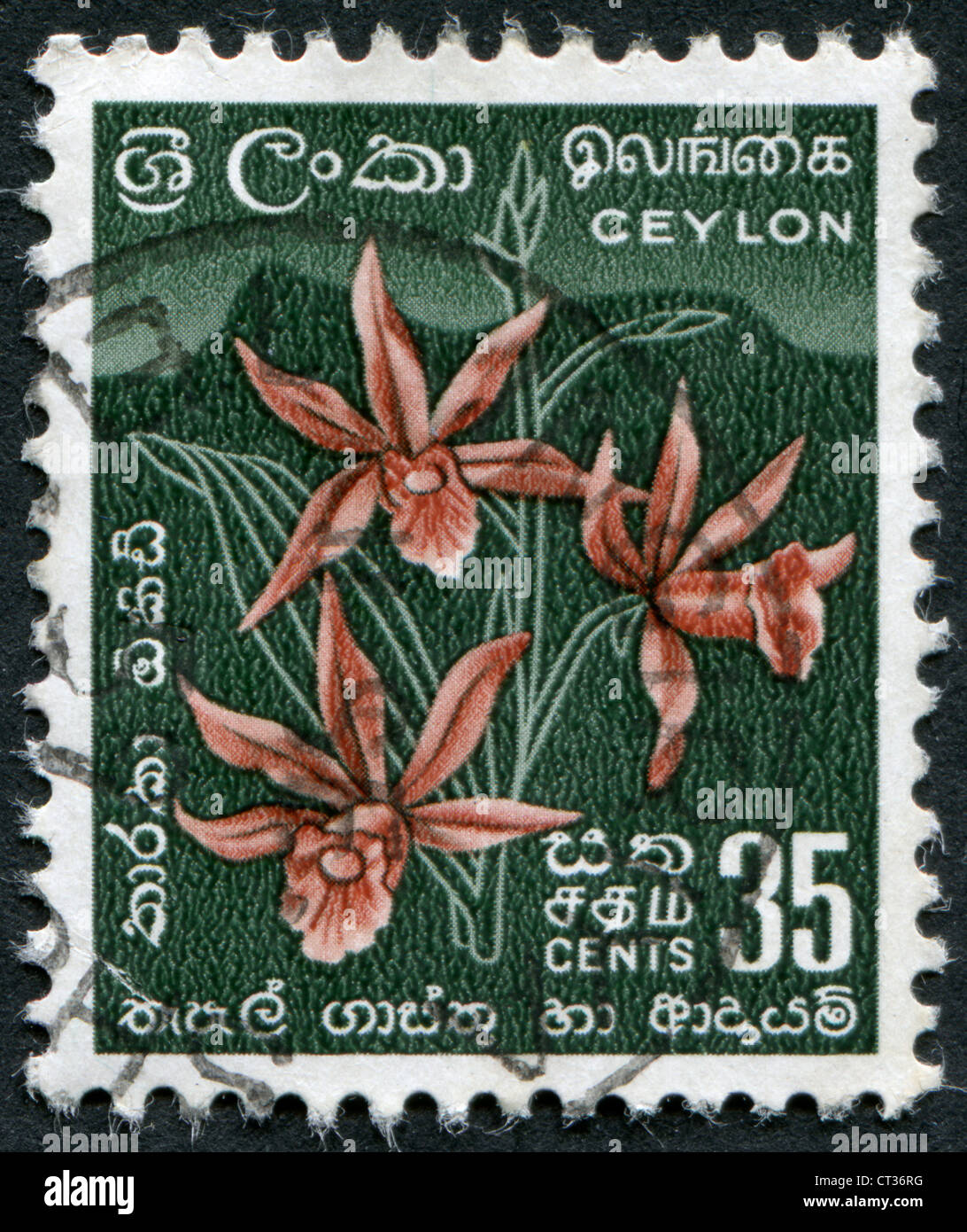 CEYLON - CIRCA 1952: A stamp printed in the Ceylon, shows a flower Star ...