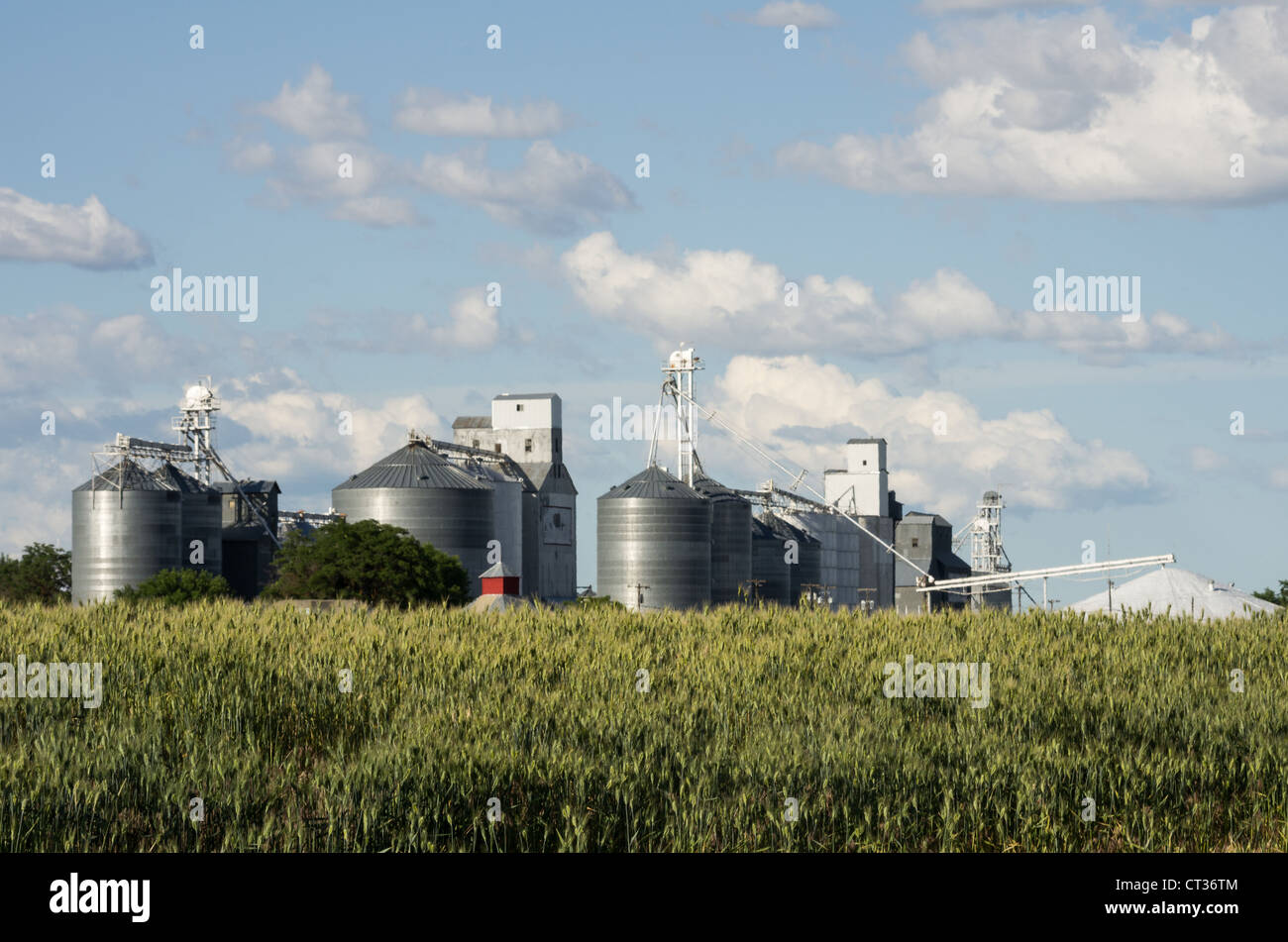 Metal grain silos and elevators under cloudy blue sky Stock Photo - Alamy