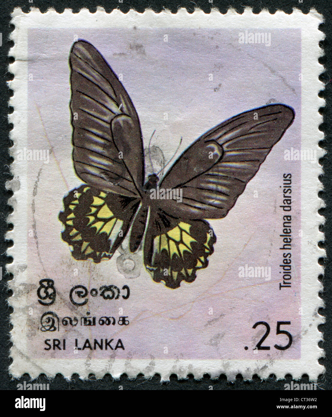 SRI LANKA - CIRCA 1978: A stamp printed in the Sri Lanka, shows ...