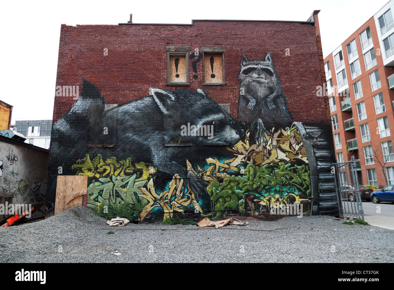 Street art mural on brick wall of raccoons in Montreal Quebec Canada  KATHY DEWITT Stock Photo