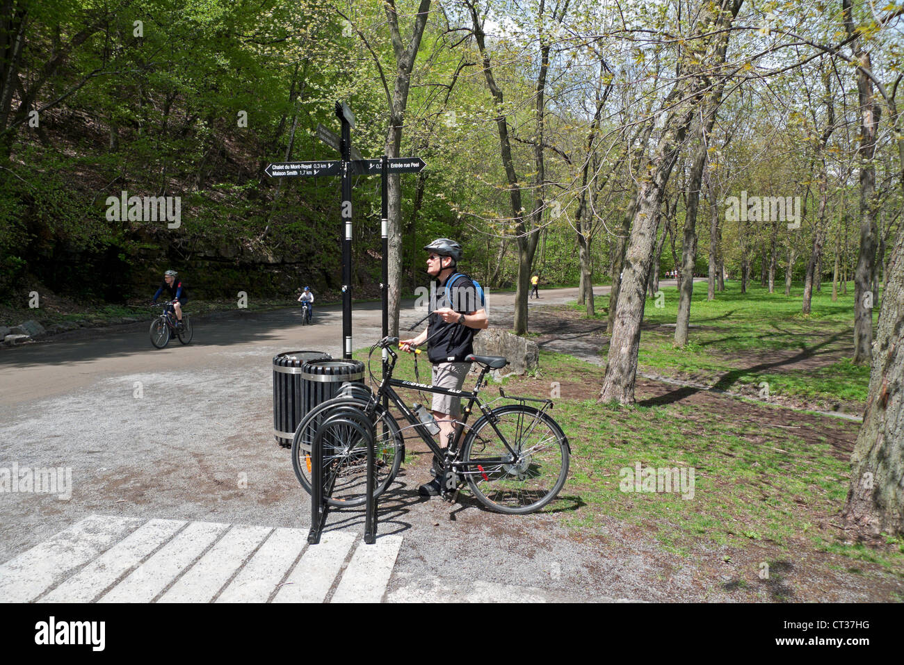A cyclist locking up his bicycle MontRoyal Park Montreal Quebec Canada
