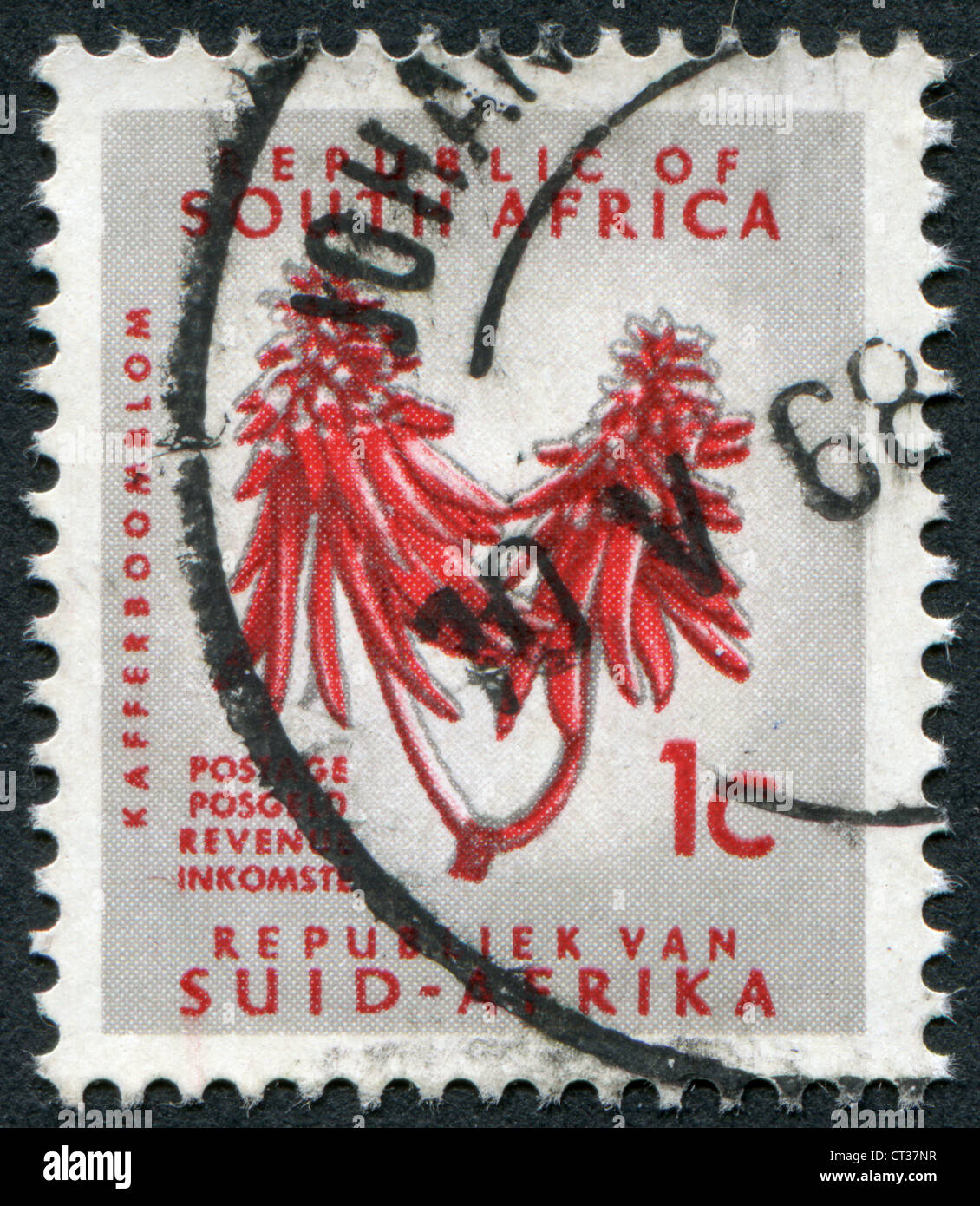 SOUTH AFRICA-CIRCA 1968: A stamp printed in the South Africa, depicts Coral Tree Flower (Erythrina lysistemon), circa 1968 Stock Photo