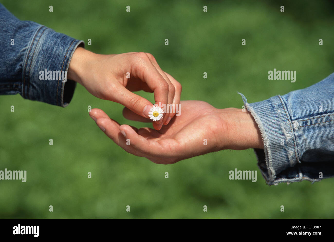 husband-and-wife-stock-photo-alamy