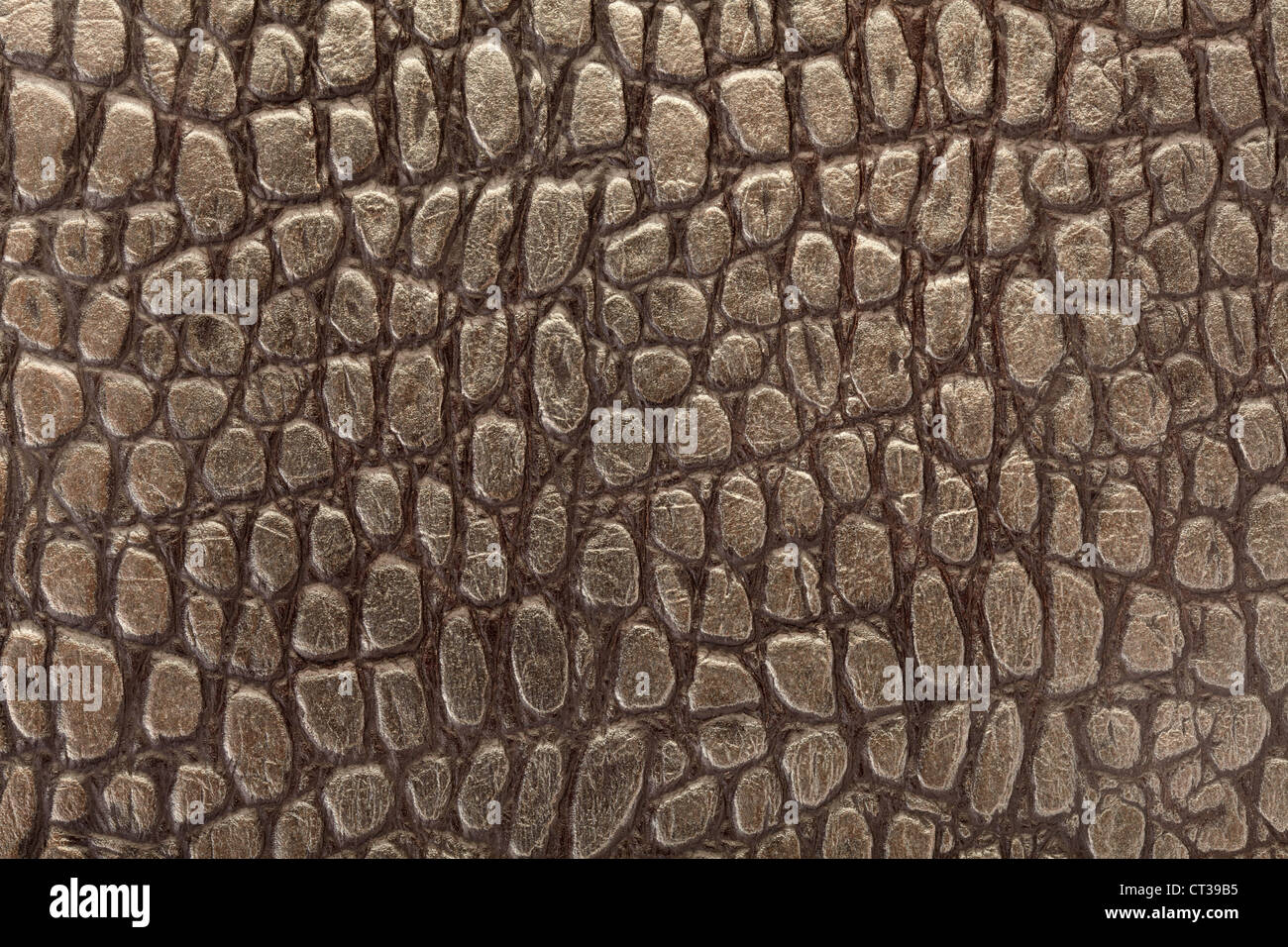 Green Crocodile Leather Texture As Background Stock Photo - Download Image  Now - Crocodile Pattern, Abstract, Ancient - iStock
