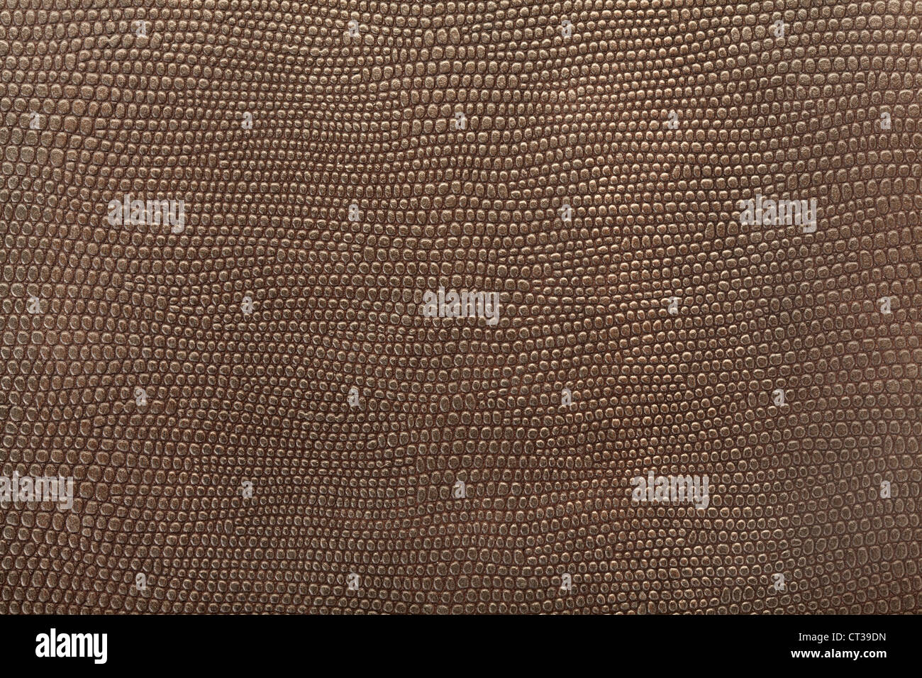 Shark skin texture background Stock Photo