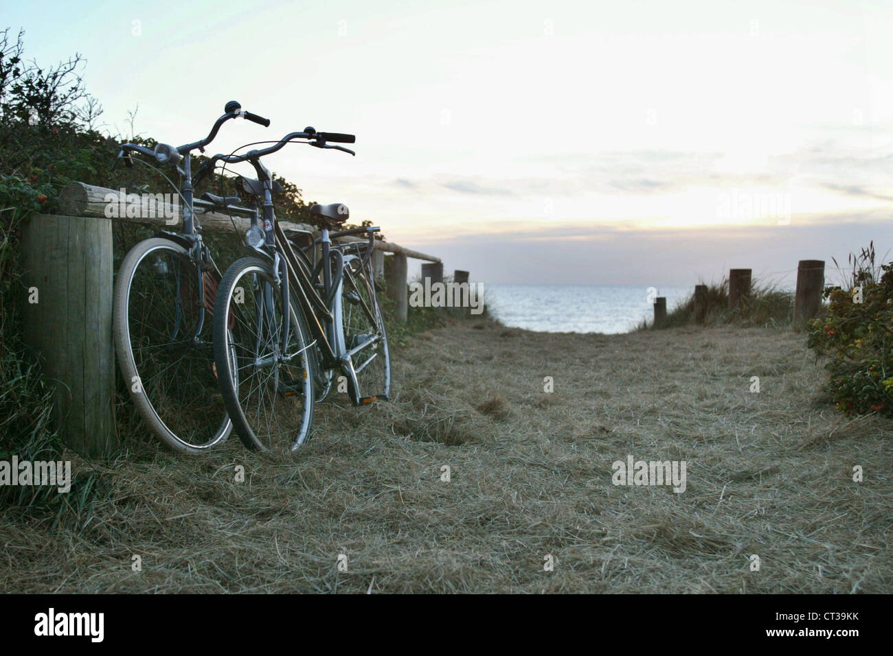 Hiddensee, bicycles on the Baltic Sea in a coastal Stock Photo