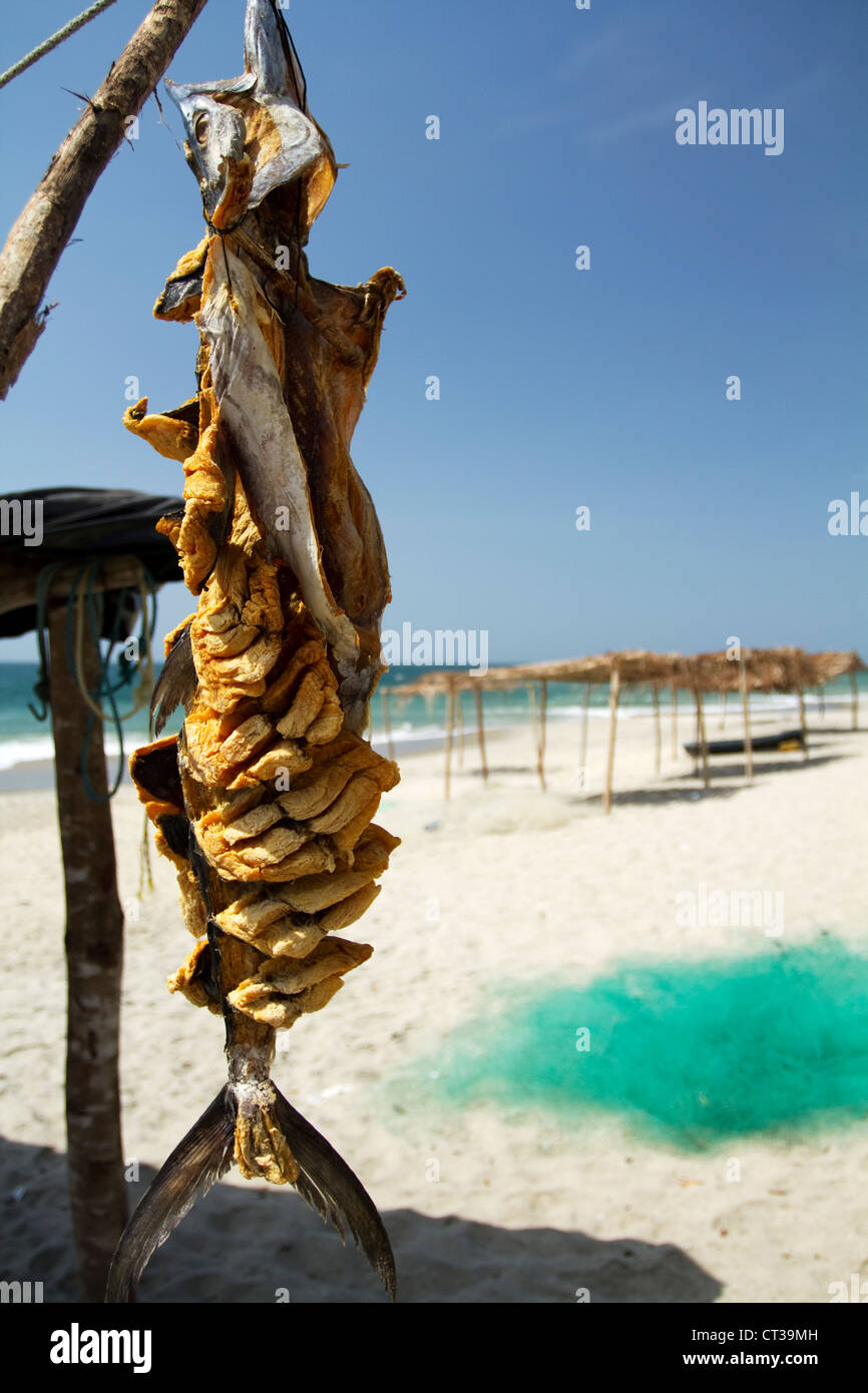 Dry Fish, Santa Clara, Panama, Central America Stock Photo Alamy