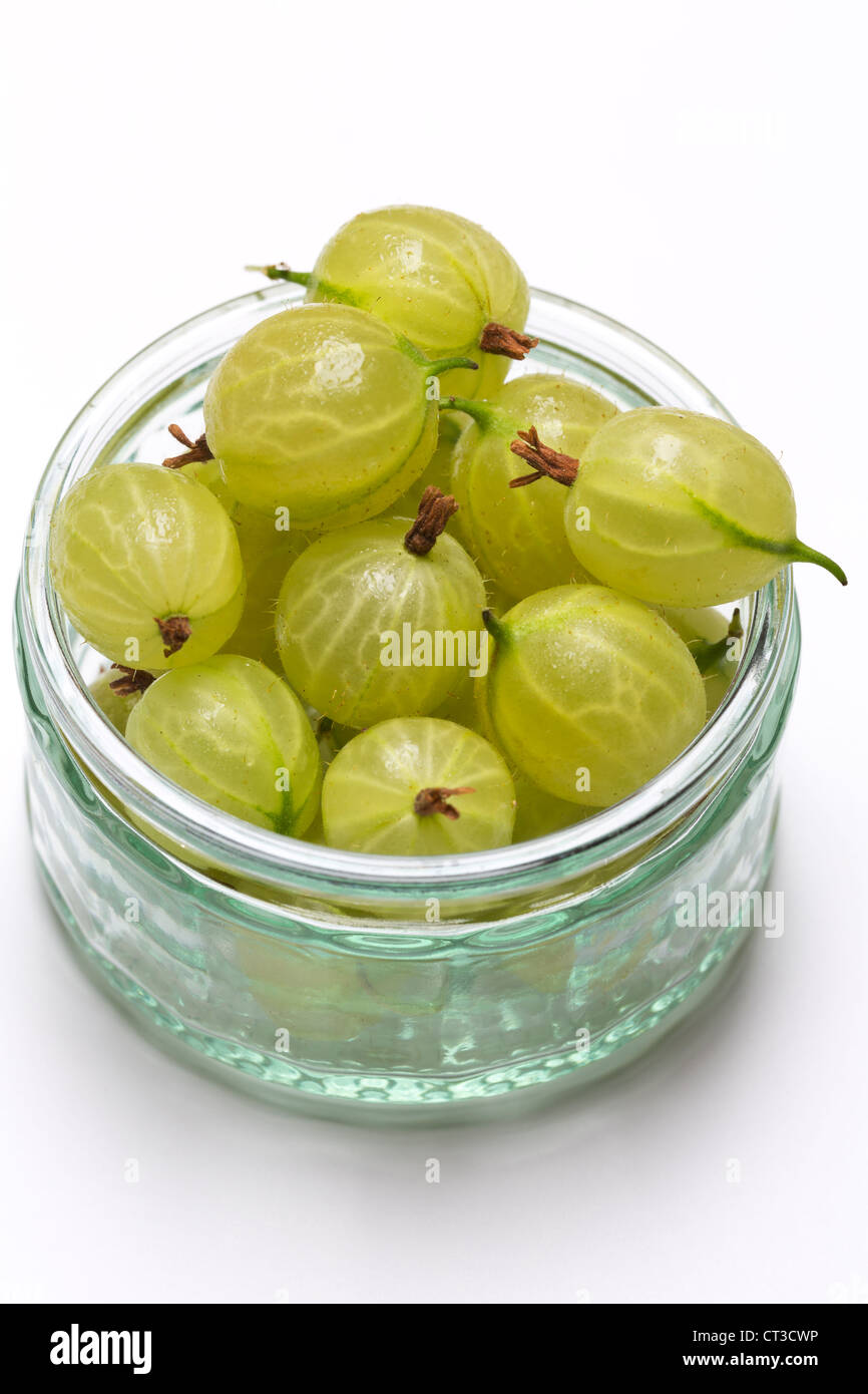 Cooking Gooseberries in glass dish a white background Stock Photo Alamy
