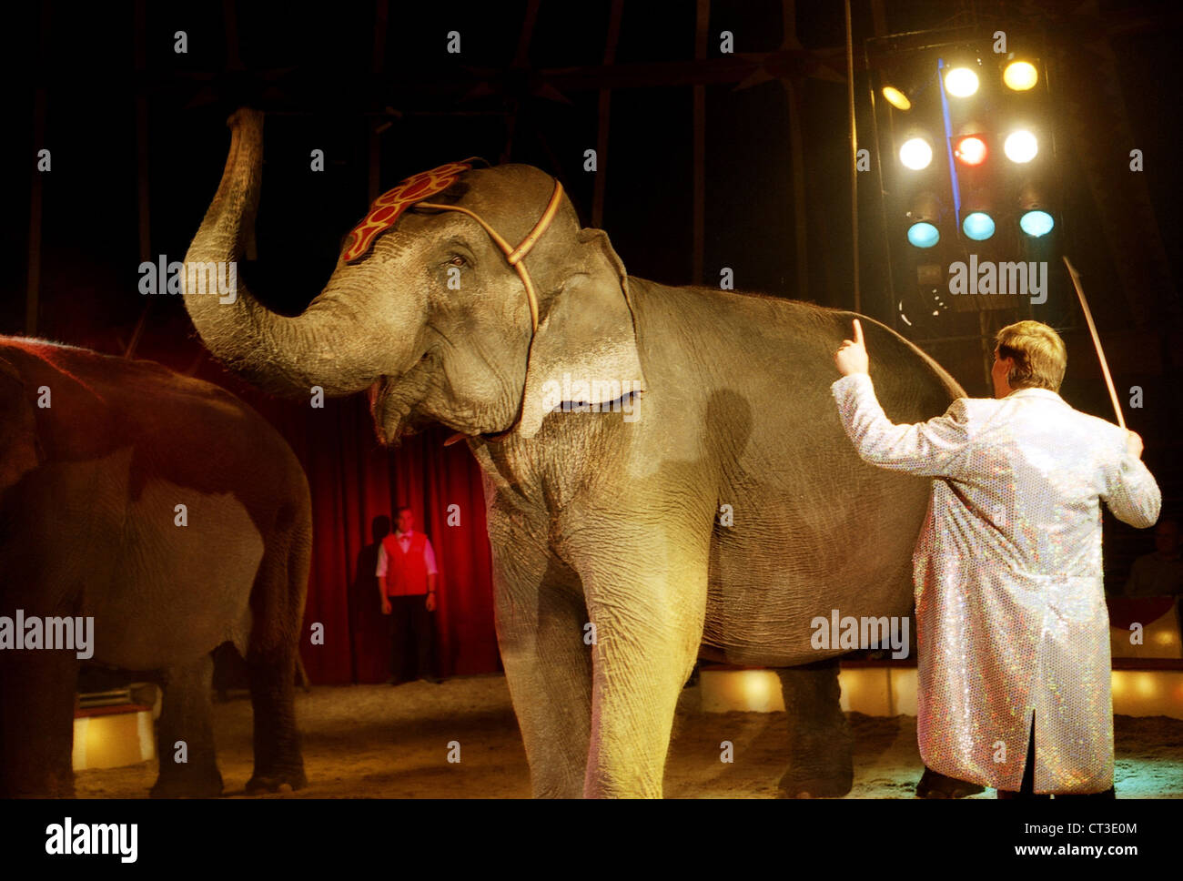 Elephant show at Circus Charivari Stock Photo - Alamy