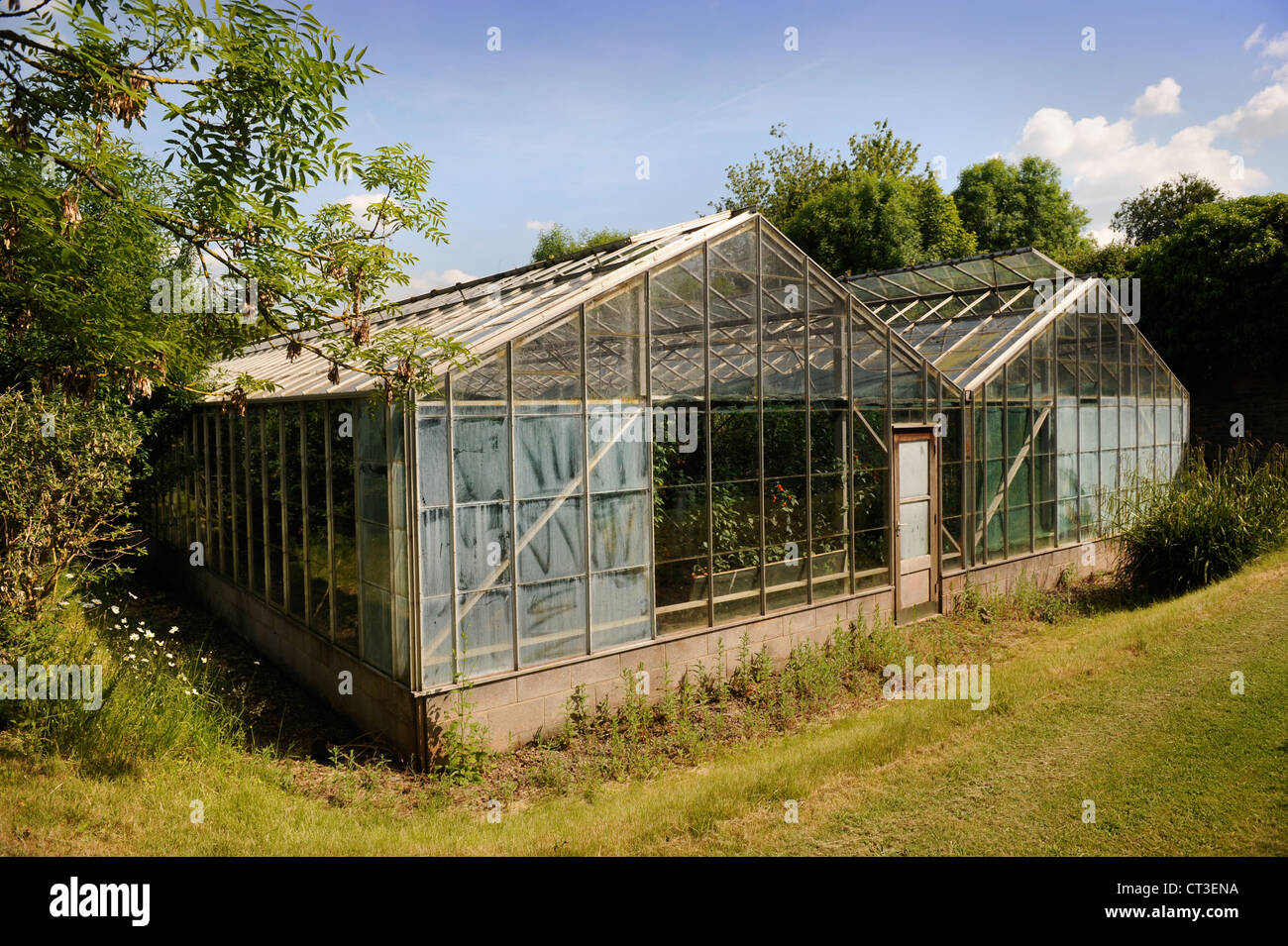 Commercial greenhouses hi-res stock photography and images - Alamy