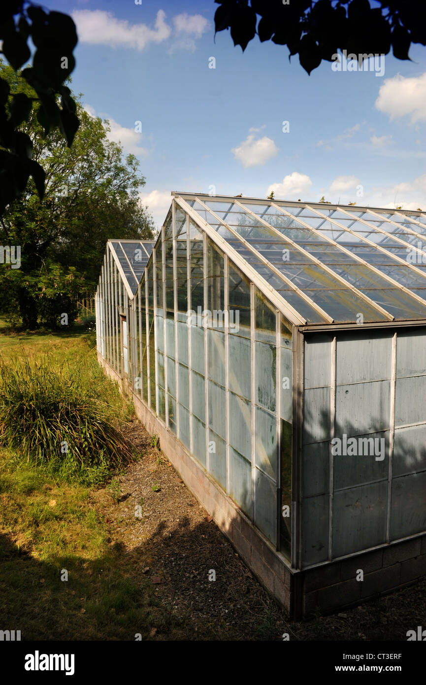 Commercial Greenhouses High Resolution Stock Photography and Images - Alamy