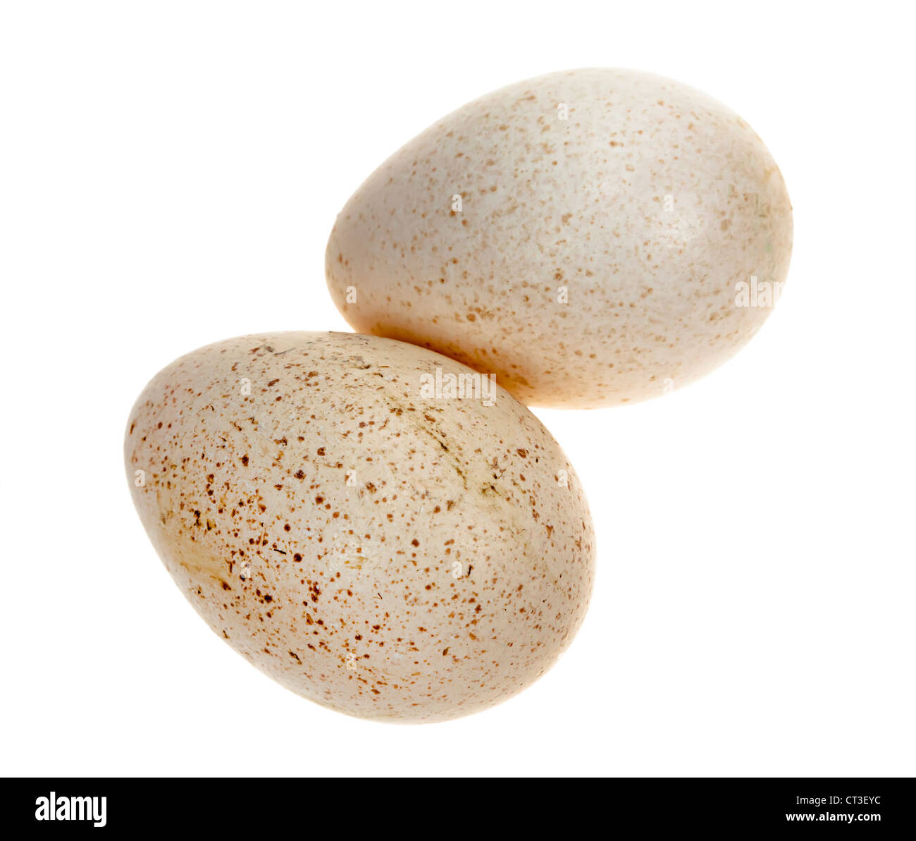 Uk egg hires stock photography and images Alamy