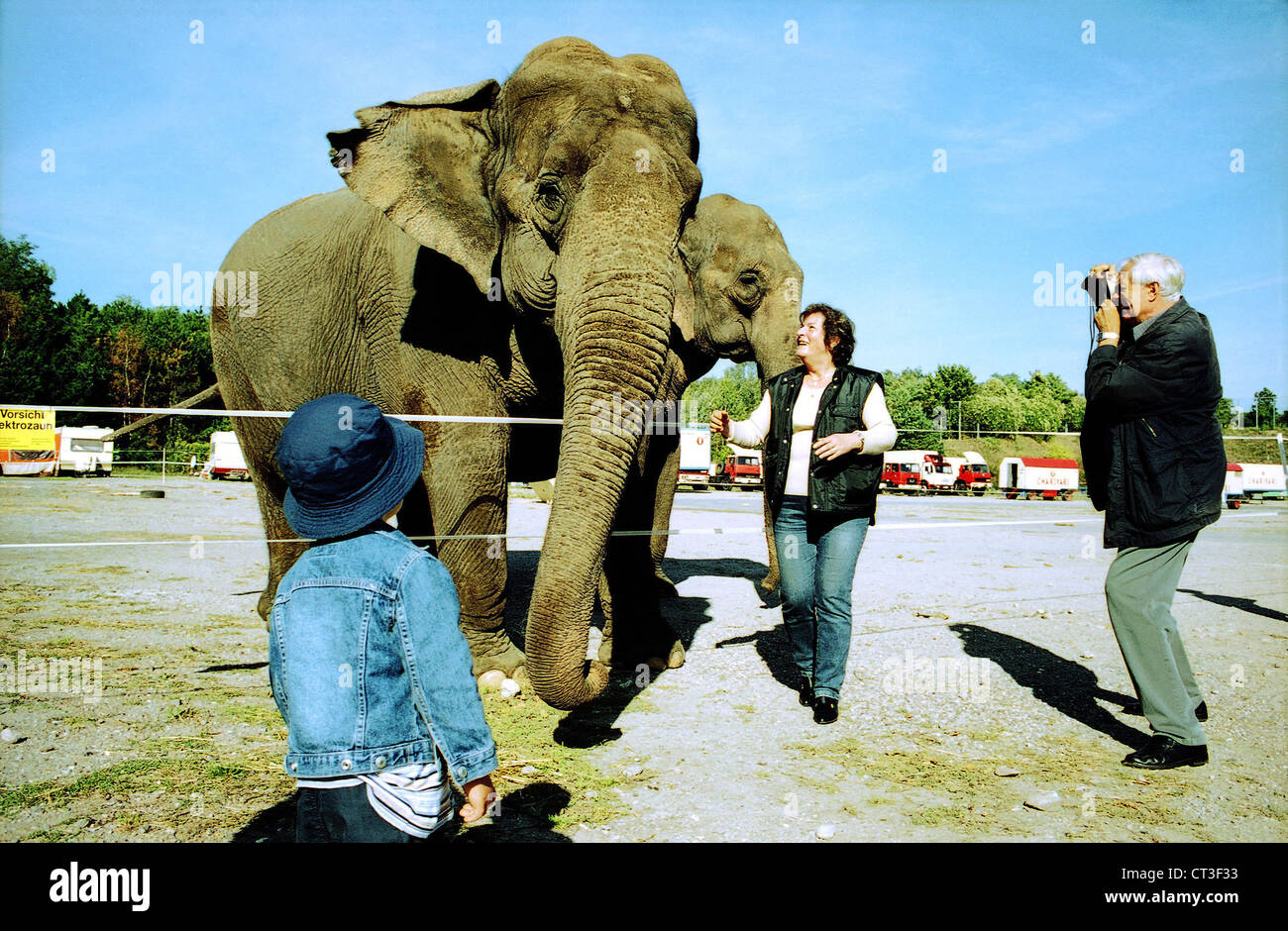 The circus elephants have visitors Stock Photo