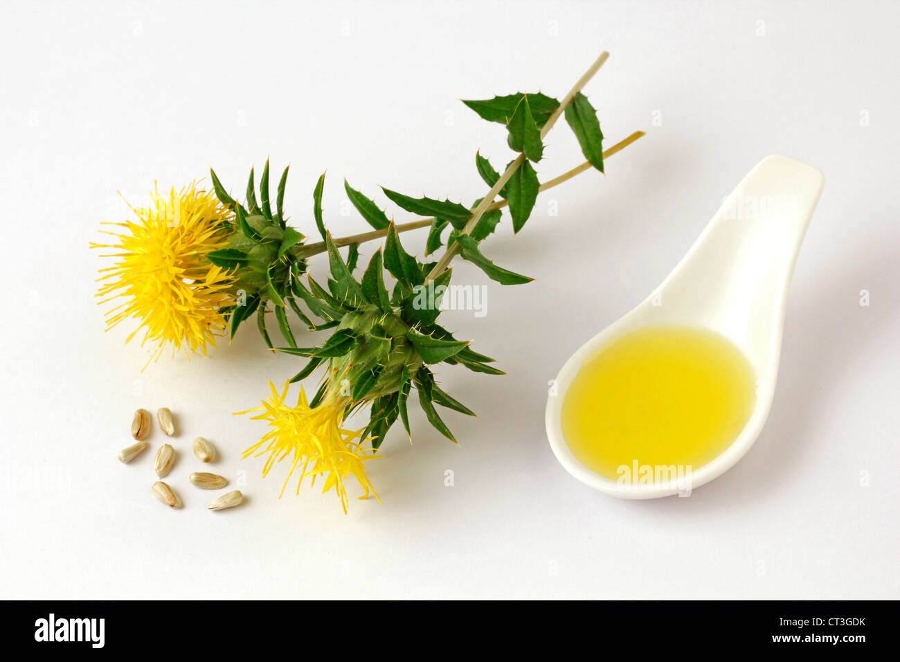 Safflower seeds hires stock photography and images Alamy