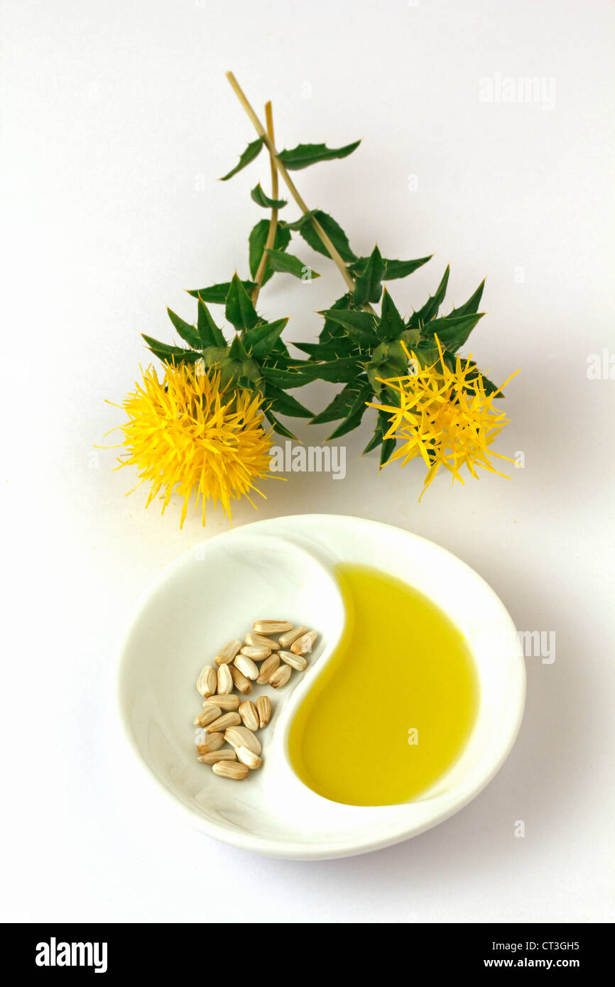 Safflower oil Carthamus tinctorius Stock Photo Alamy