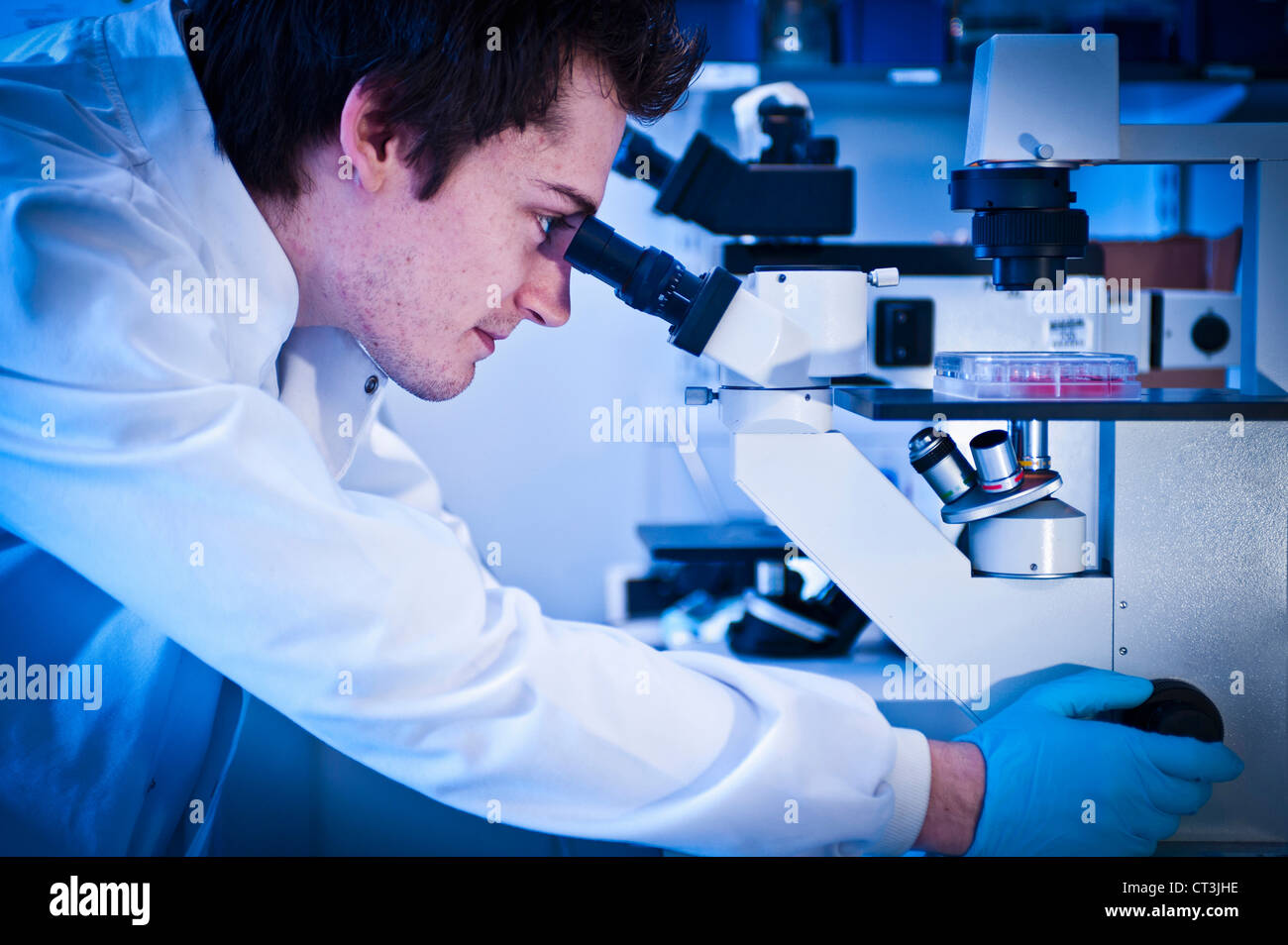 Scientist using microscope in lab Stock Photo Alamy