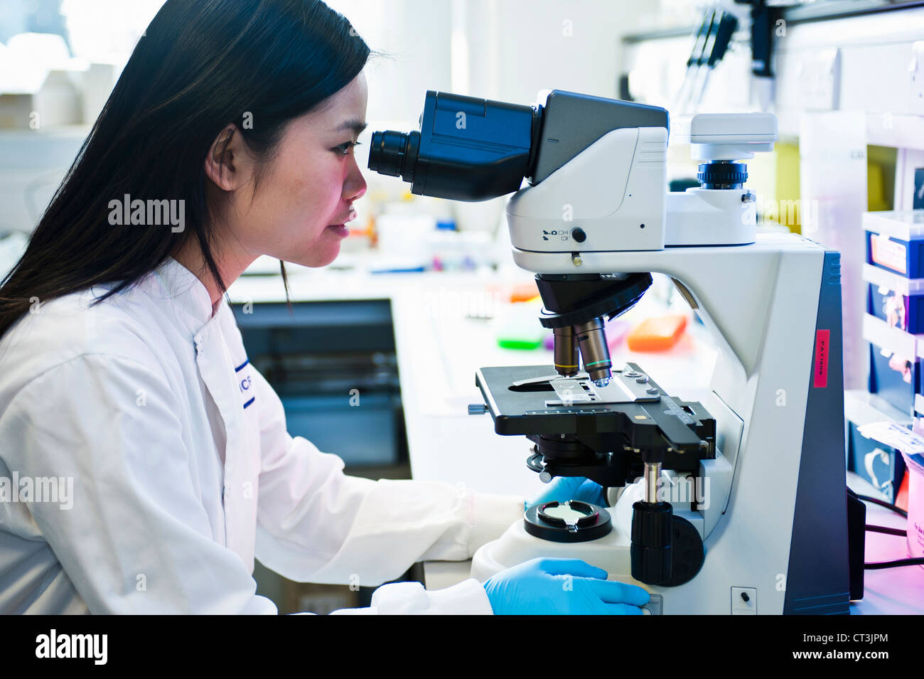 Scientist using microscope in lab Stock Photo Alamy