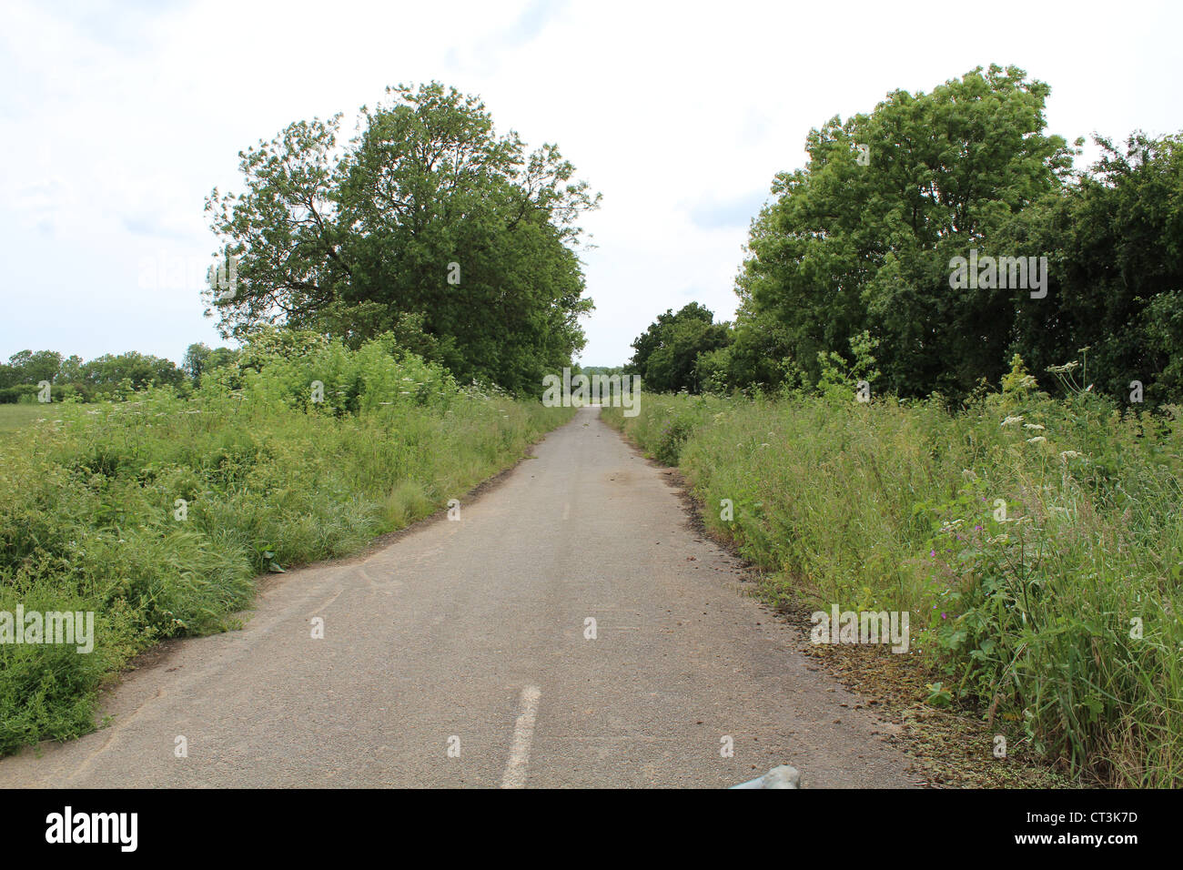 On the road to nowhere (an old abandoned lane). Stock Photo