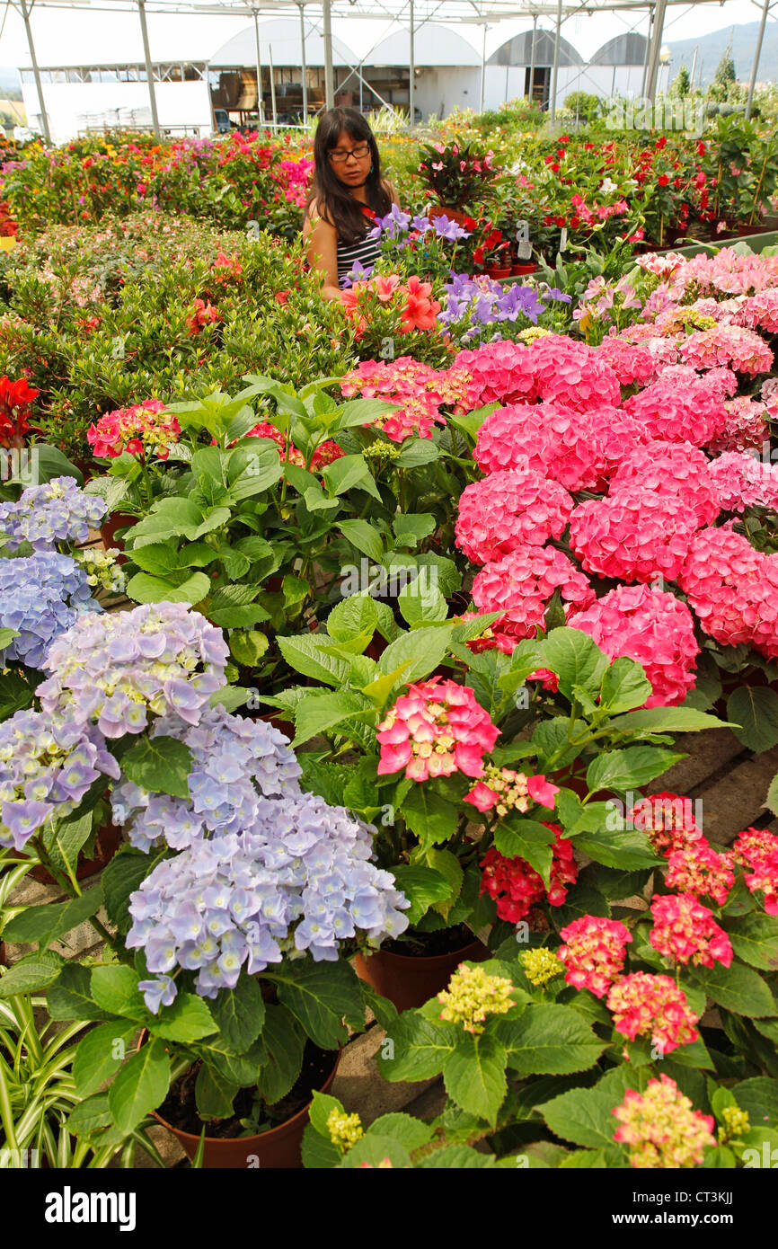 Garden center in Banyoles, Girona, Catalonia, Spain. Stock Photo