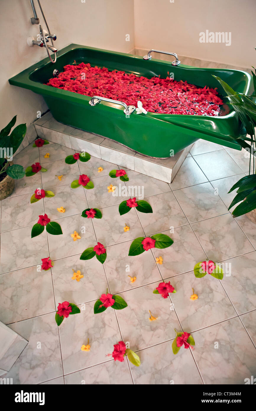 Herbal bath at Ayurweda Walauwa resort Bentota Sri Lanka Stock Photo