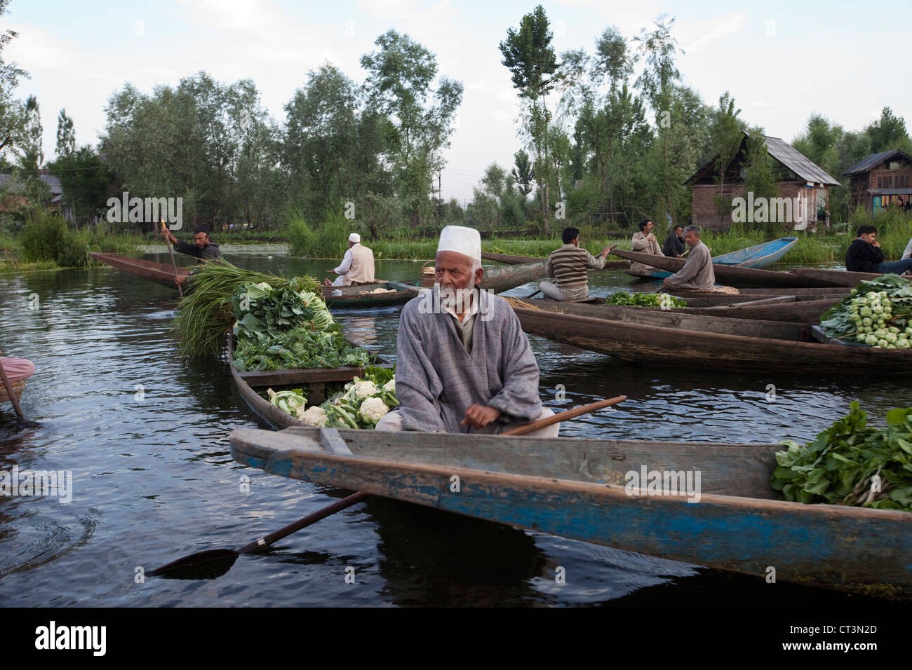 An elderly vegetable seller on Dal Lake shortly after dawn at the vegetable market Stock Photo