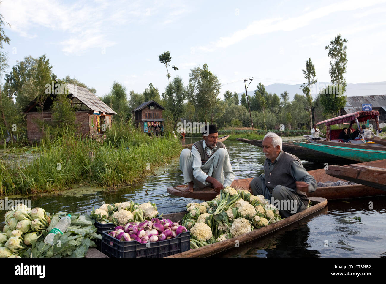 Vegetable sellers on Dal Lake shortly after dawn at the vegetable market Stock Photo