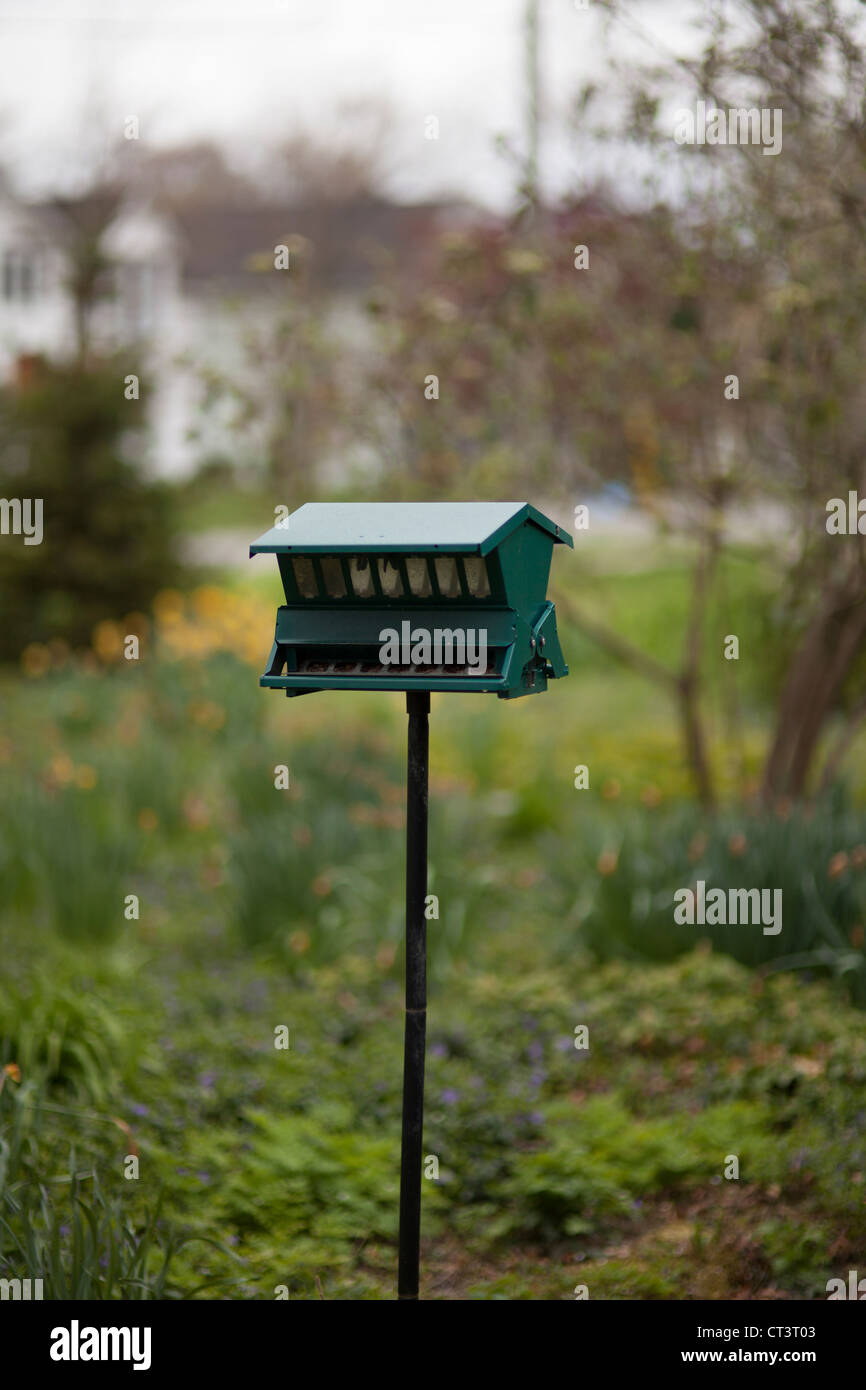 Bird Feeder in green garden during summer Stock Photo Alamy