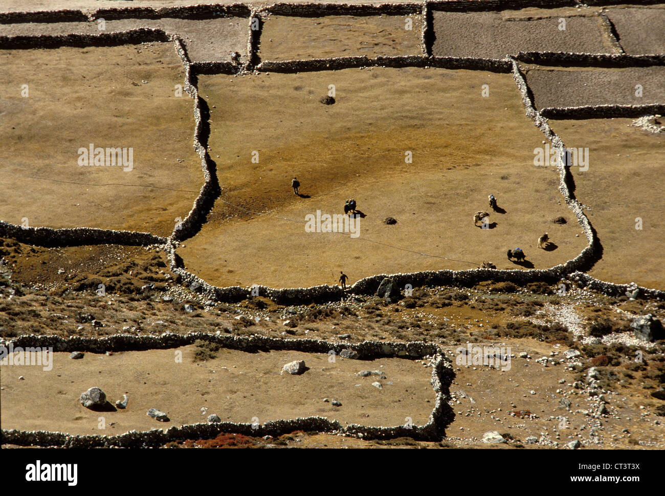 Himalayas south asia aerial hi-res stock photography and images - Alamy