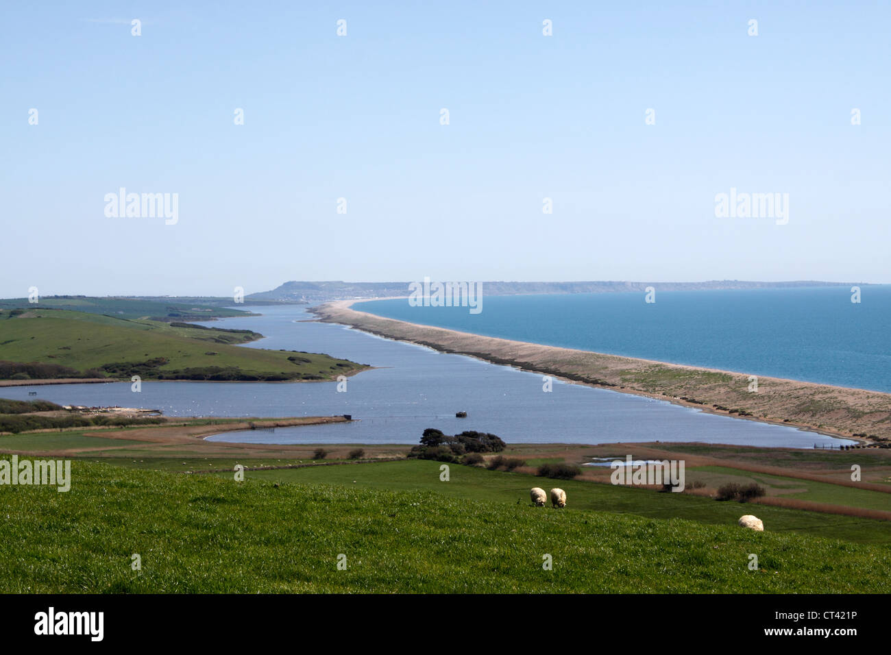 CHESIL BEACH AND THE FLEET. DORSET UK Stock Photo Alamy