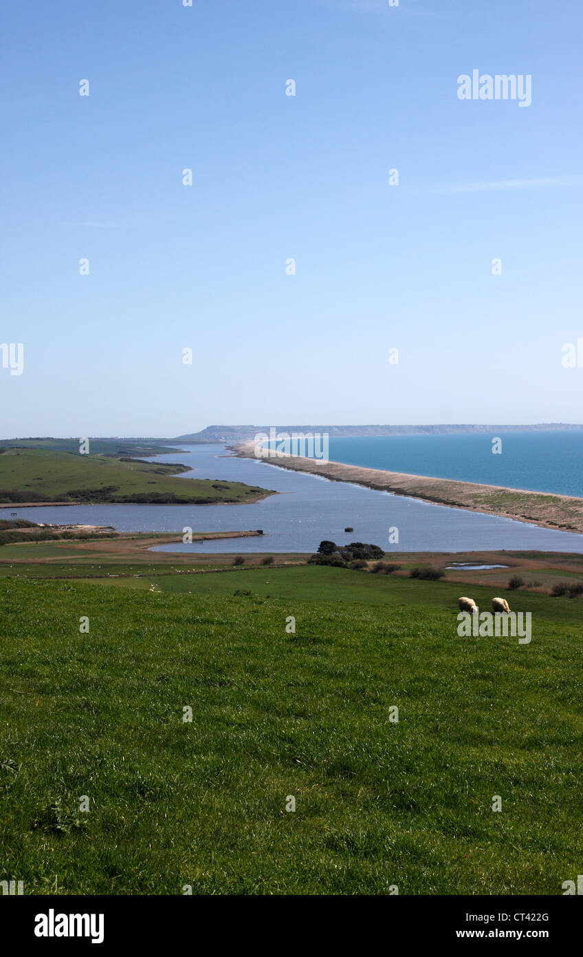 CHESIL BEACH AND THE FLEET. DORSET UK Stock Photo Alamy