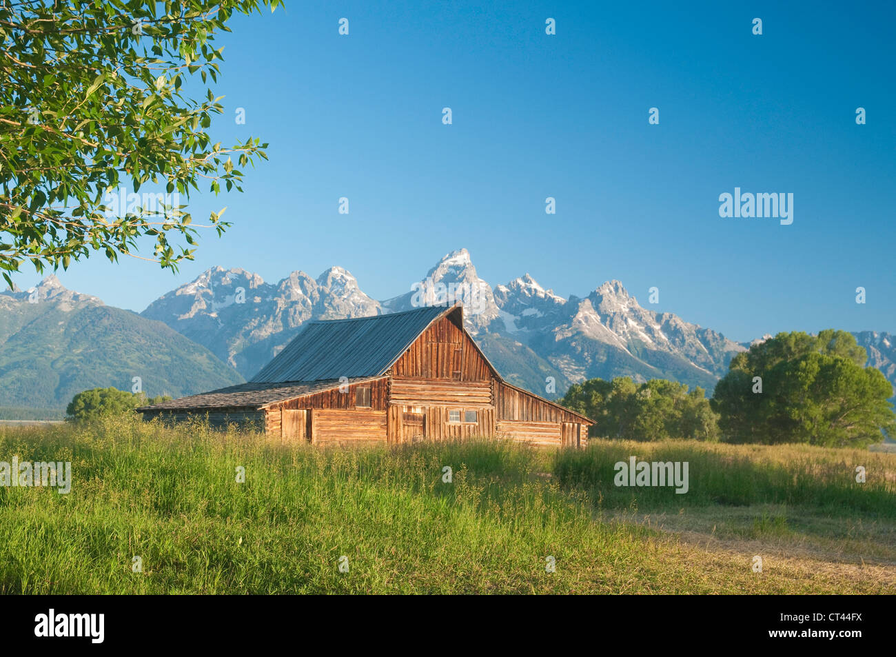 iconic scene of old Mormon barn (circa 1880's) on Mormon Row in the ...