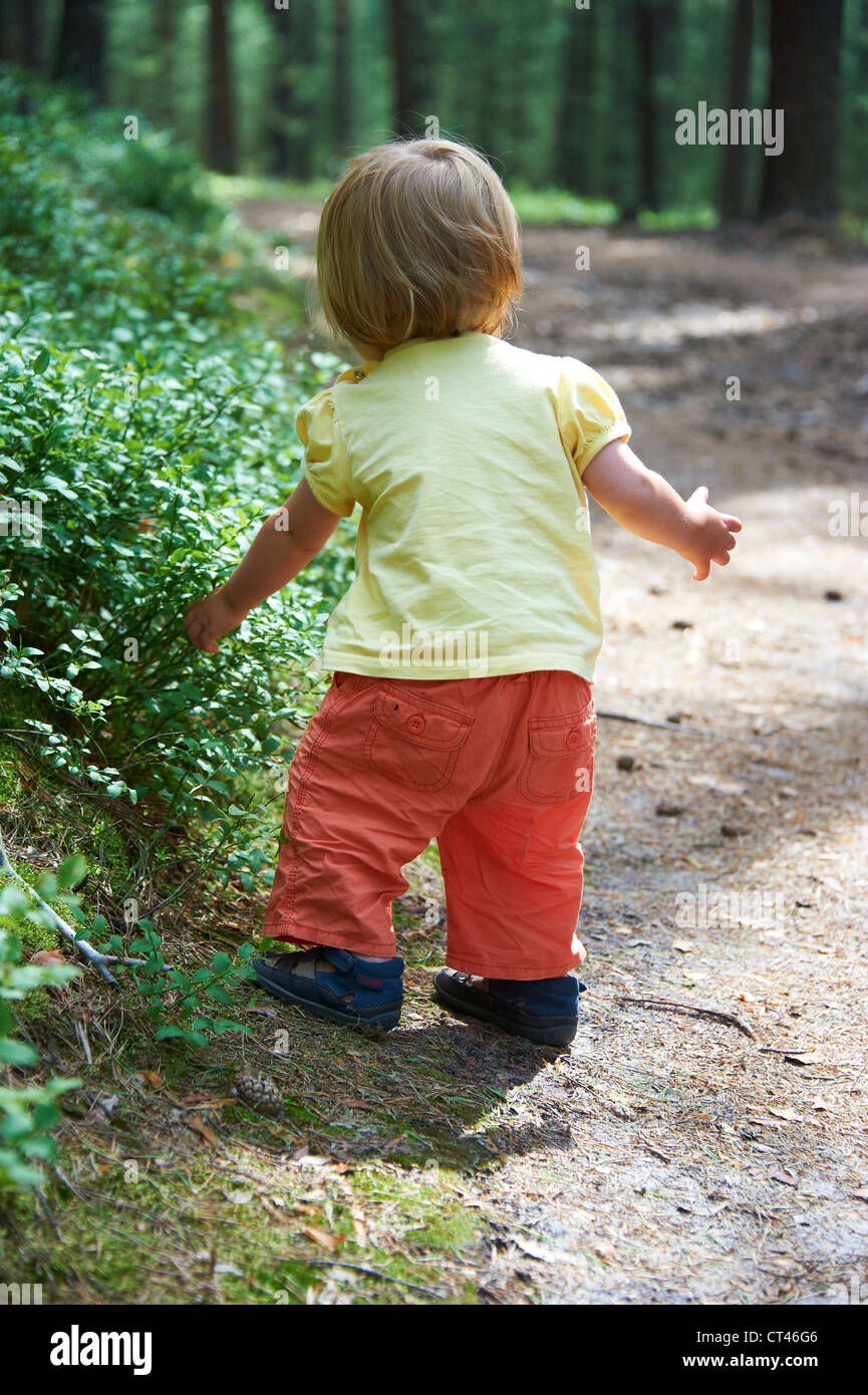 Child baby girl eating blueberries in summer forest Stock Photo Alamy