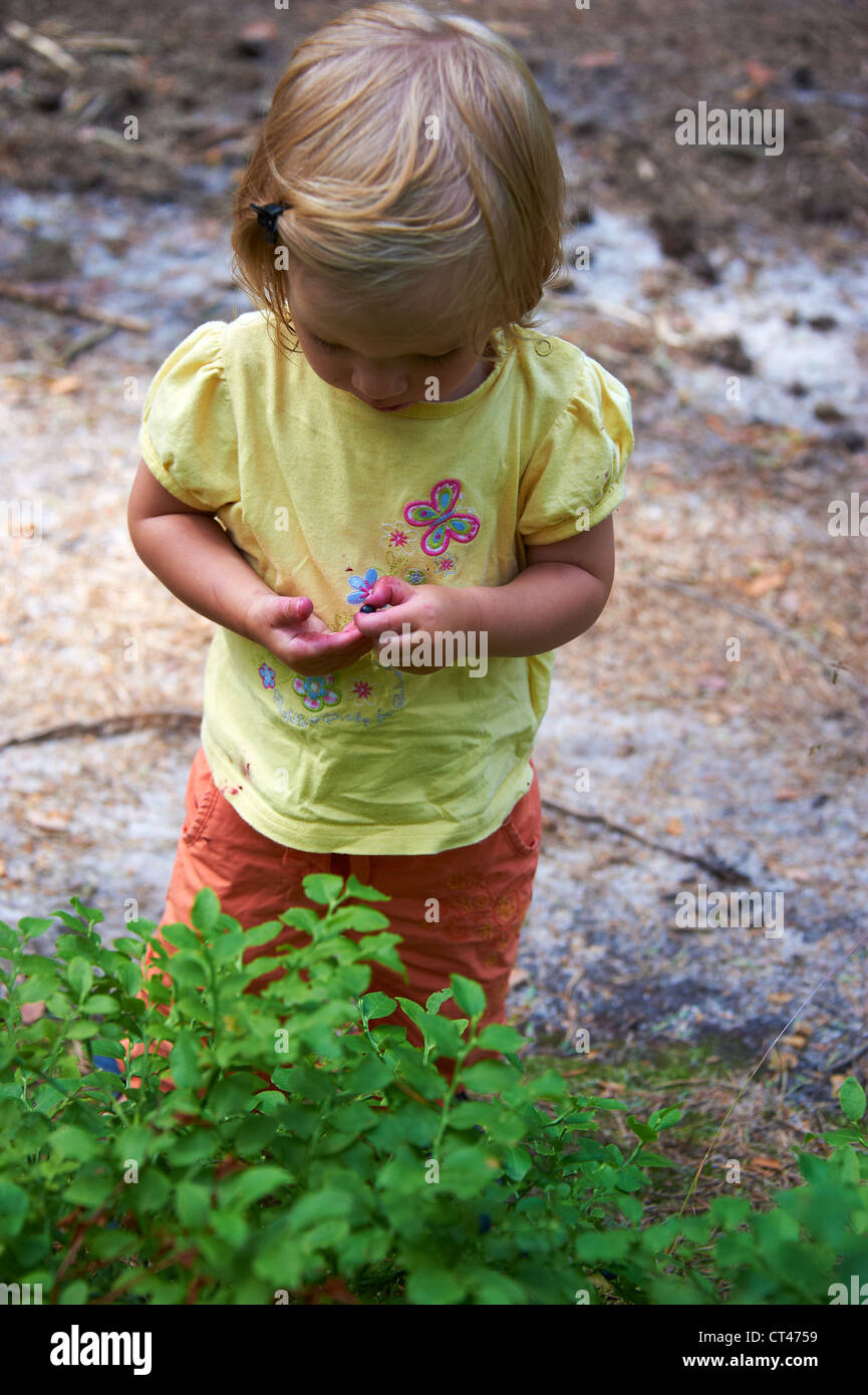 Child baby girl eating blueberries in summer forest Stock Photo Alamy