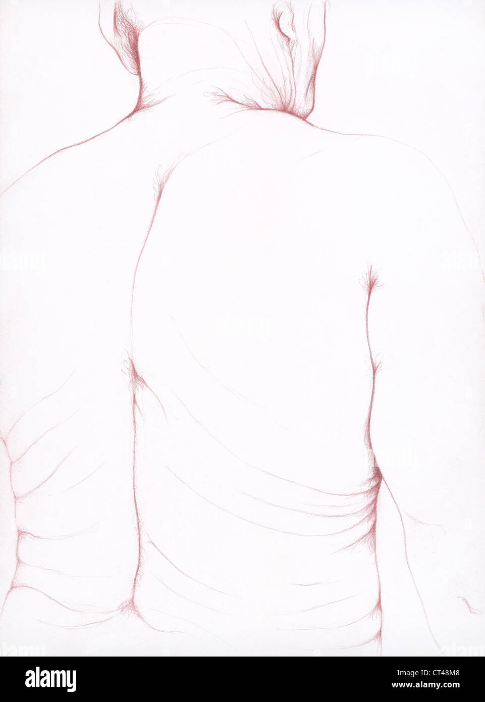 Detailed Back Drawing Bodies back hi-res stock photography and images - Alamy