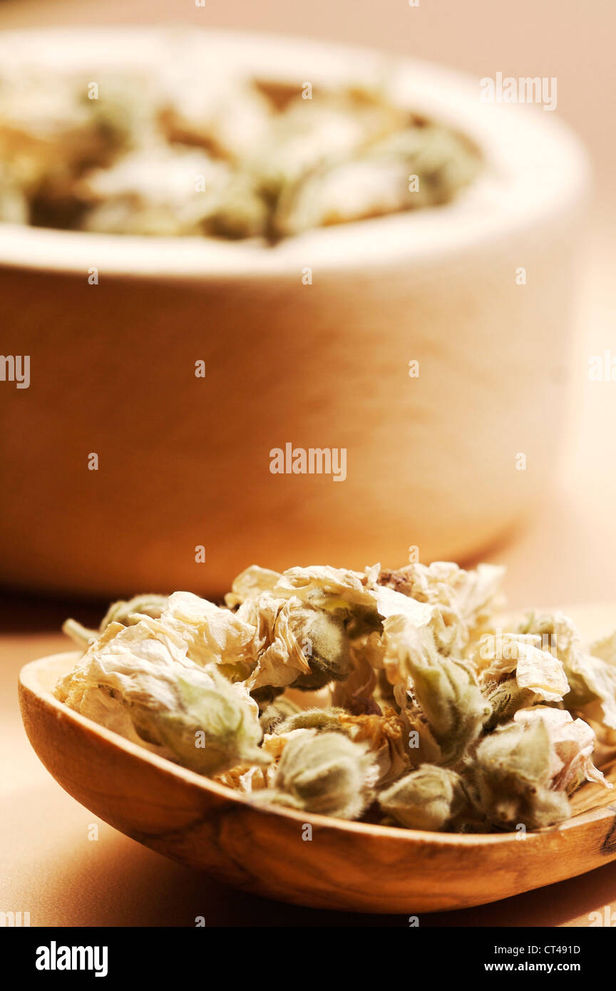 Marshmallow medicine hires stock photography and images Alamy