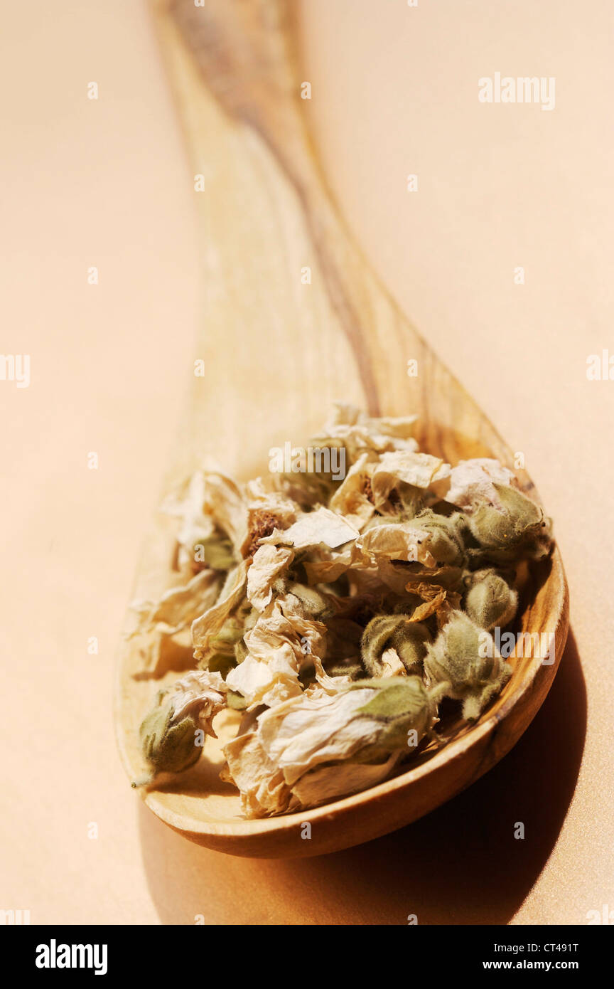 Marshmallow medicine hires stock photography and images Alamy