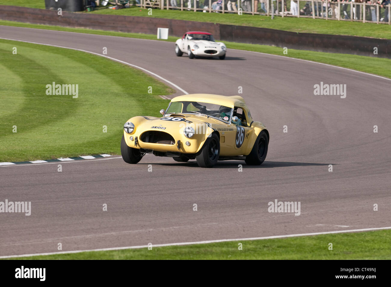 AC Cobra Le Mans Coupe and Lightweight Jaguar E-Type at the Goodwood Revival Stock Photo