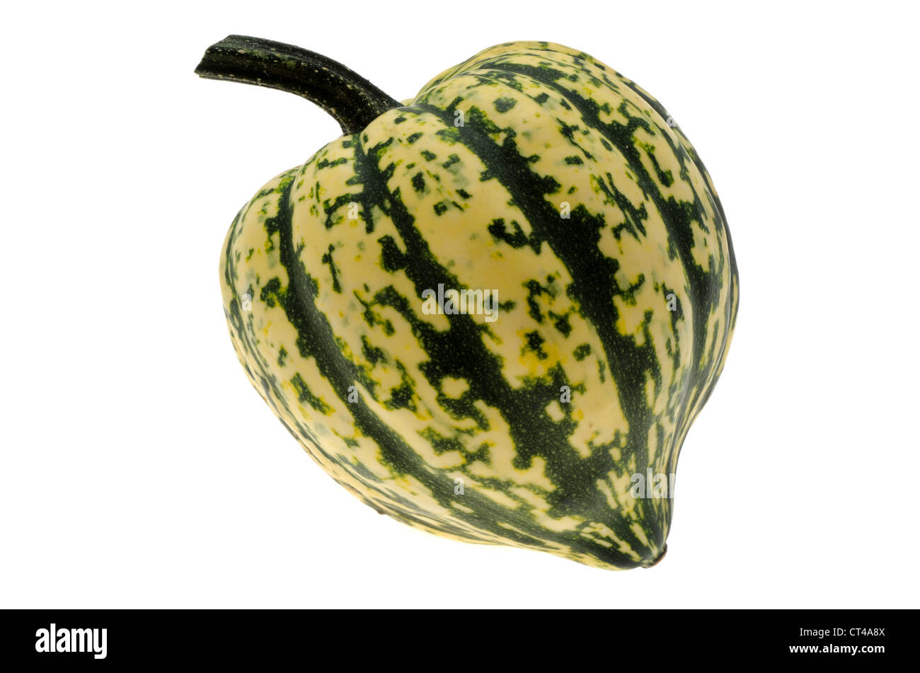 Green gourd - studio shot with a white background Stock Photo