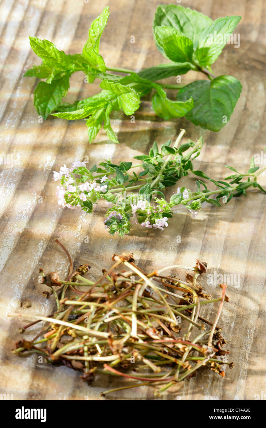 Medicinal Herbs Set High Resolution Stock Photography and Images - Alamy