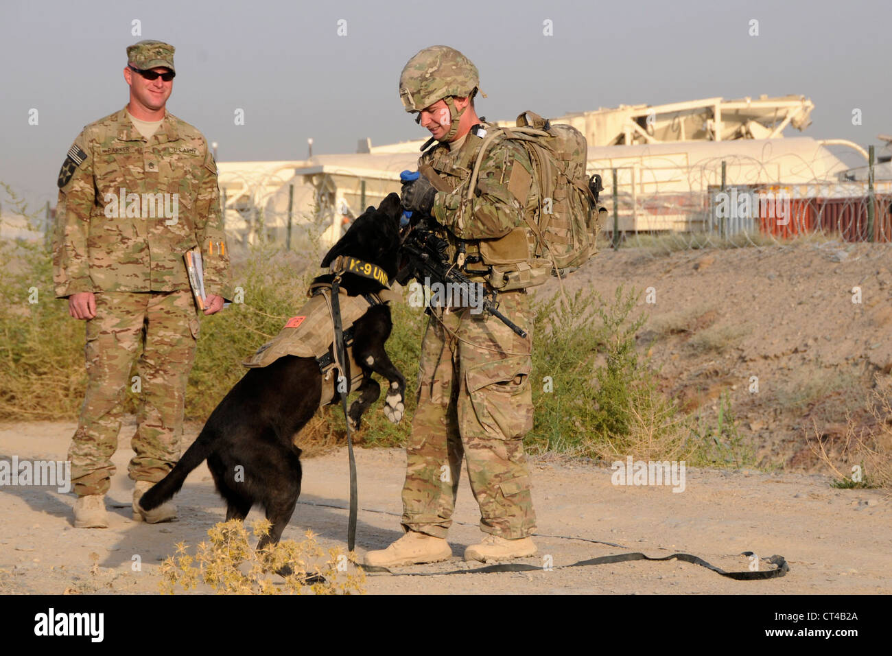 U.S. Air Force Staff Sgt. Larry Harris, a Military Working Dog handler, rewards his dog, Aaron, for finding simulated explosives buried along a road at Kandahar Airfield, Afghanistan on July 9, 2012 during a training exercise while U.S. Army Staff Sgt. Joshua Parker looks on. The handlers and their dogs rotate through Kandahar Airfield for validation prior to moving out to Forward Operating Bases around the country where they will lead combat foot patrols and sniff out IEDs and other explosives. Stock Photo