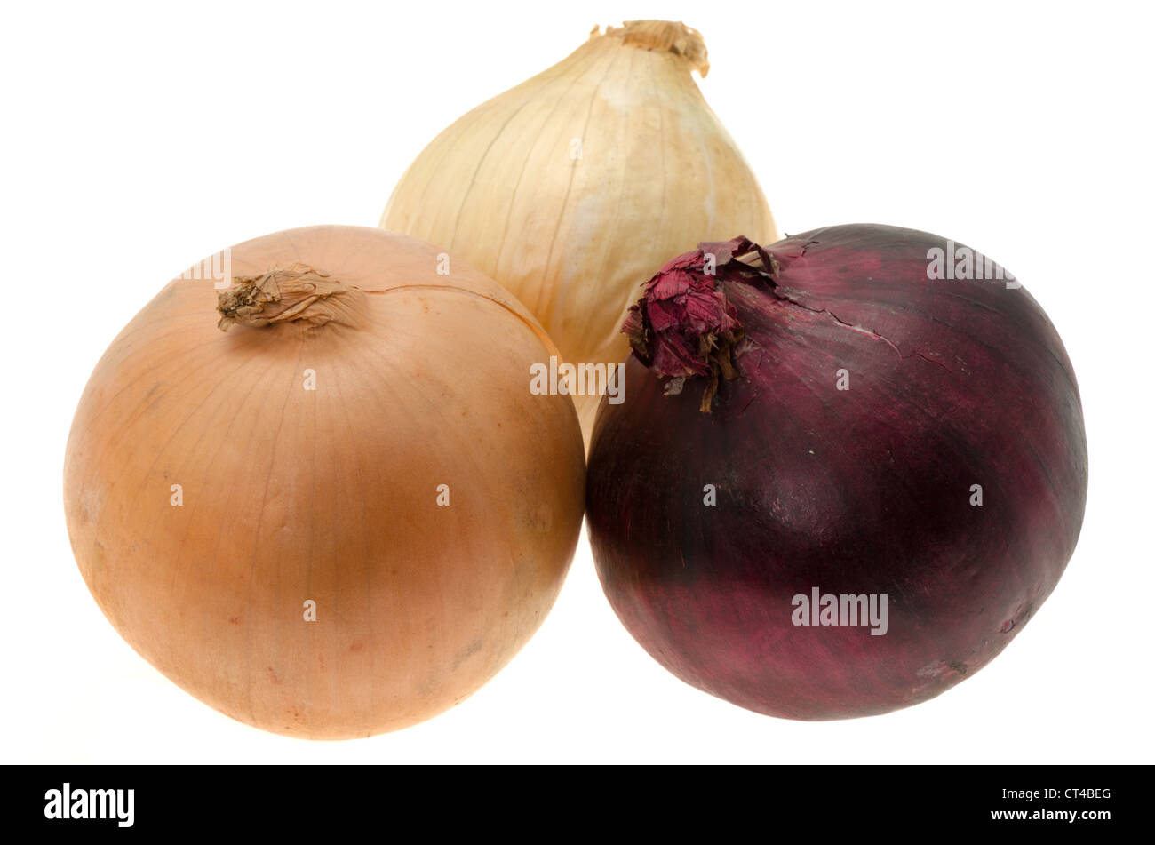 Onion varieties Cut Out Stock Images & Pictures Alamy