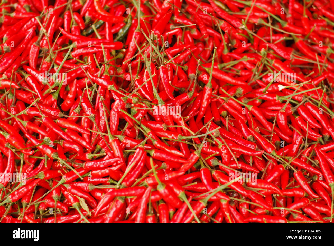 Malaysia, Borneo, Semporna, hot chili Stock Photo
