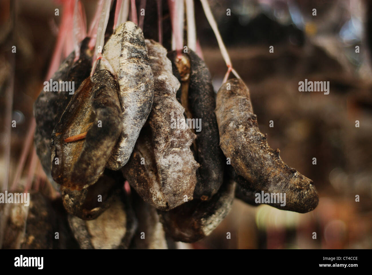 Malaysia, Borneo, Semporna, dried sea cucumber Stock Photo Alamy