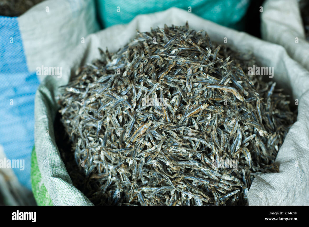Malaysia, Borneo, Semporna, dried fish at the market Stock Photo