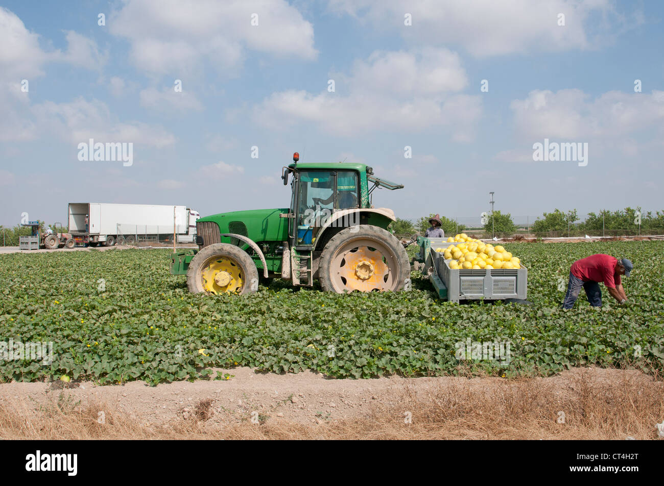 Melon farming in the Murcia district of Southern Spain Lorry in
