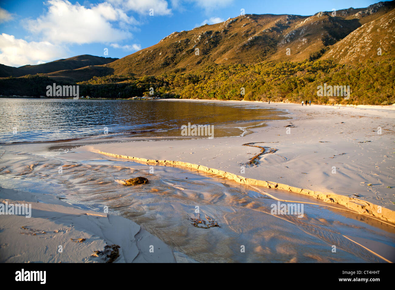 Bramble Cove On Bathurst Harbour In Tasmania's Southwest National Park ...