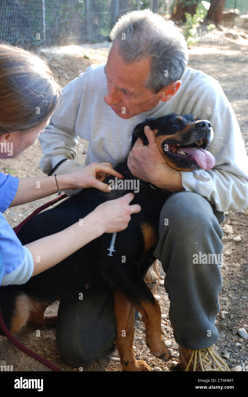Animal health care hires stock photography and images Alamy
