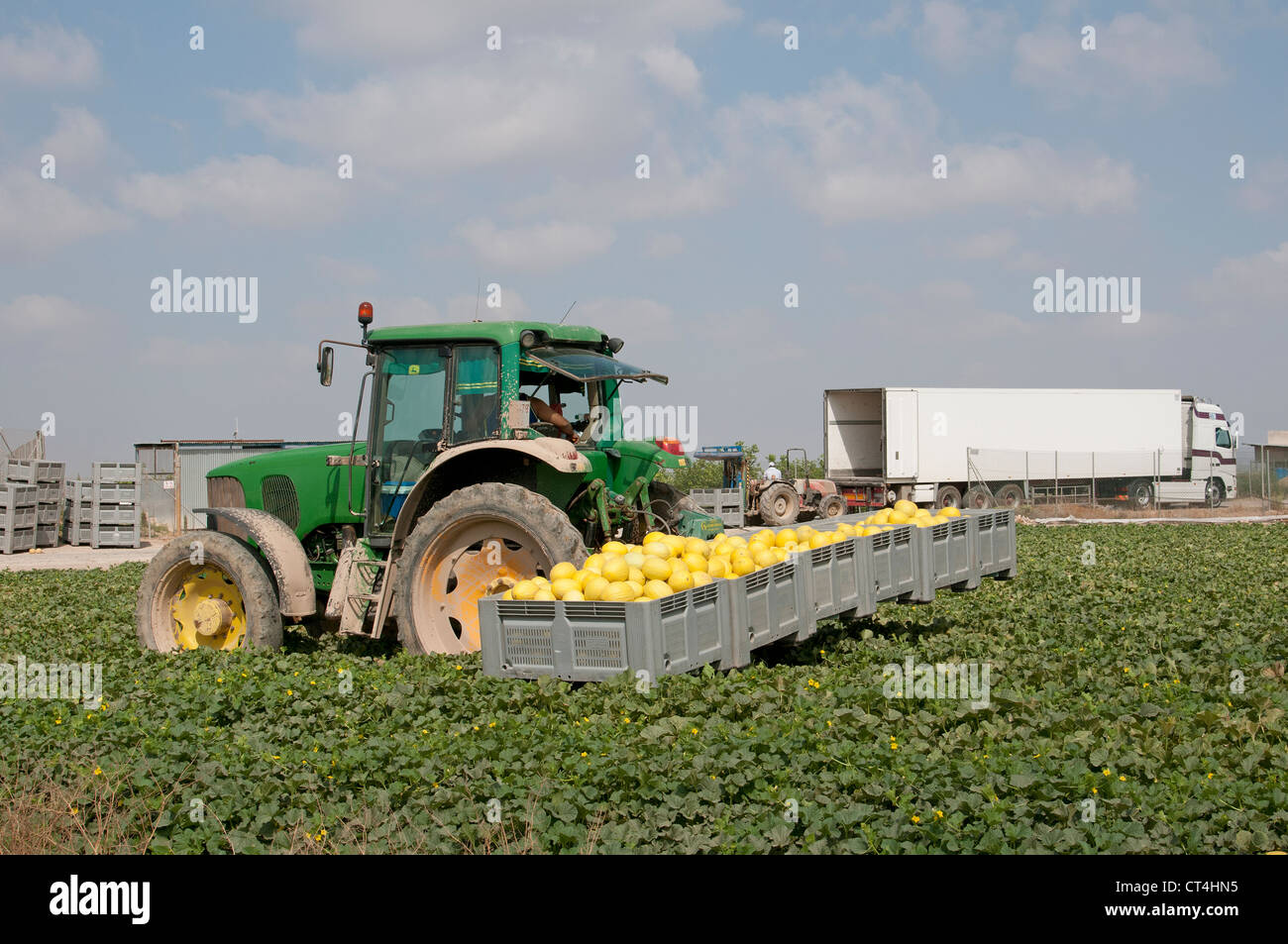 Spanish Melons High Resolution Stock Photography and Images Alamy